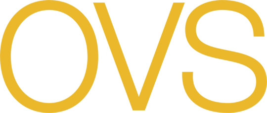 OVS (Italy)